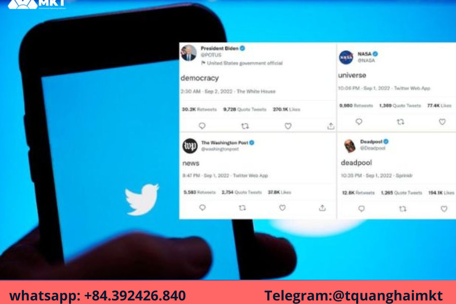 What is a twitter account management tool