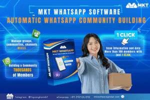 6 Reasons to choose Mkt WhatsApp